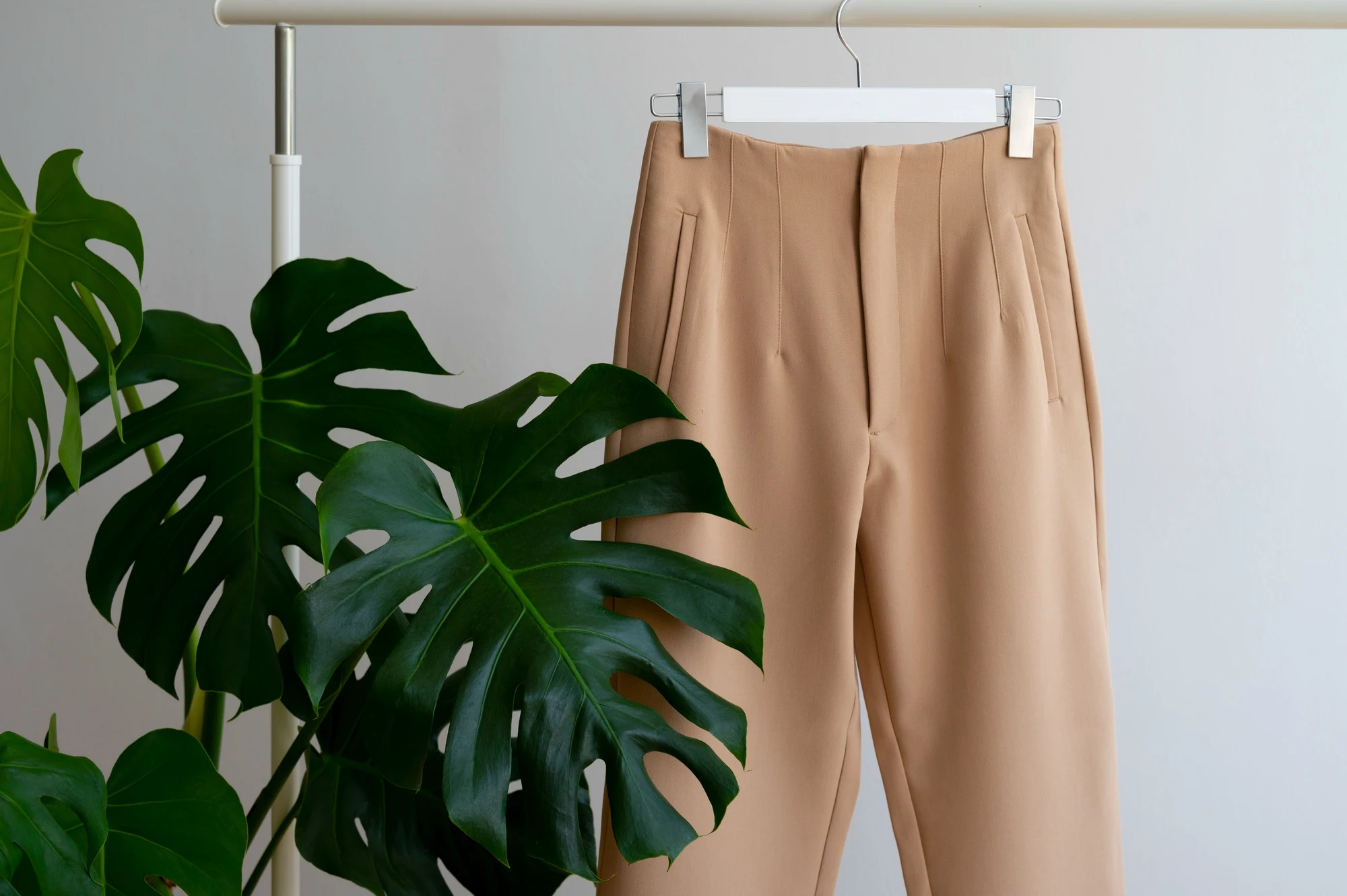 Korean Pants collection